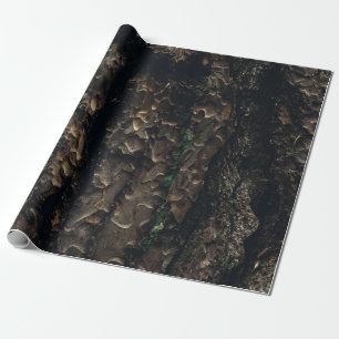 Papier Cadeau tronc d'arbre Brown et noir