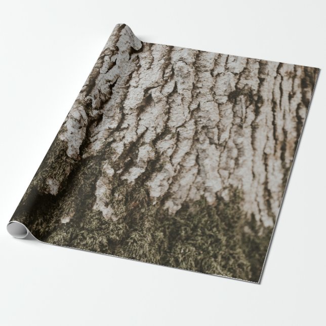 Papier Cadeau Tronc d'arbre gris (Déroulé)