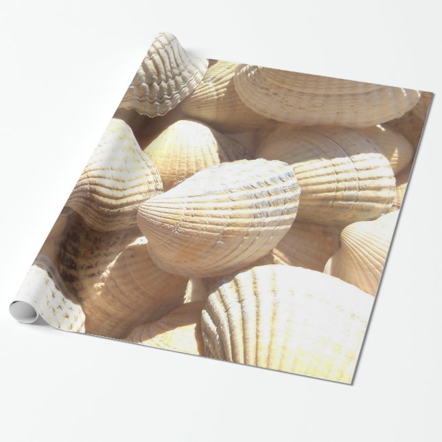 Papier Cadeau Tropical Sunny Sea Shells (Déroulé)