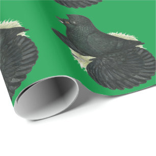 Papier Cadeau Trumpeter Pigeon noir
