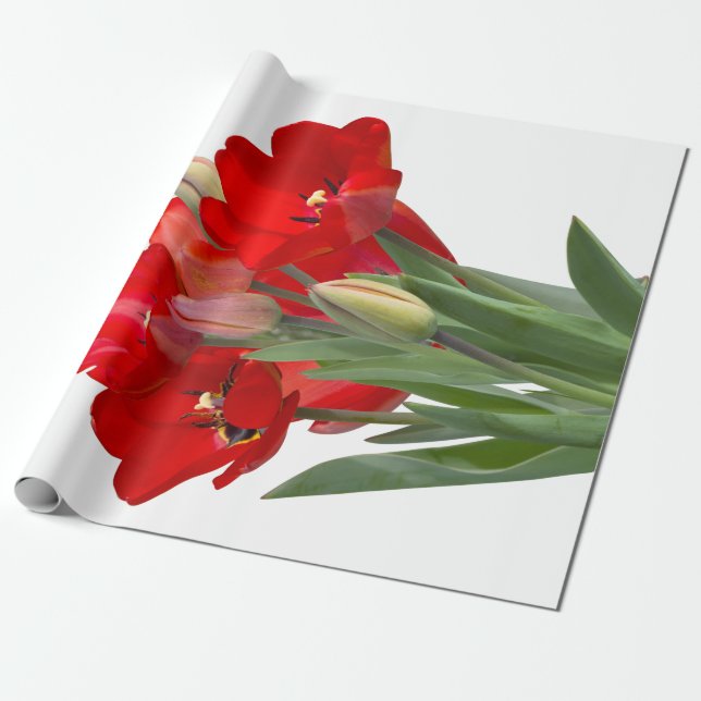 Papier Cadeau Tulipes (Déroulé)