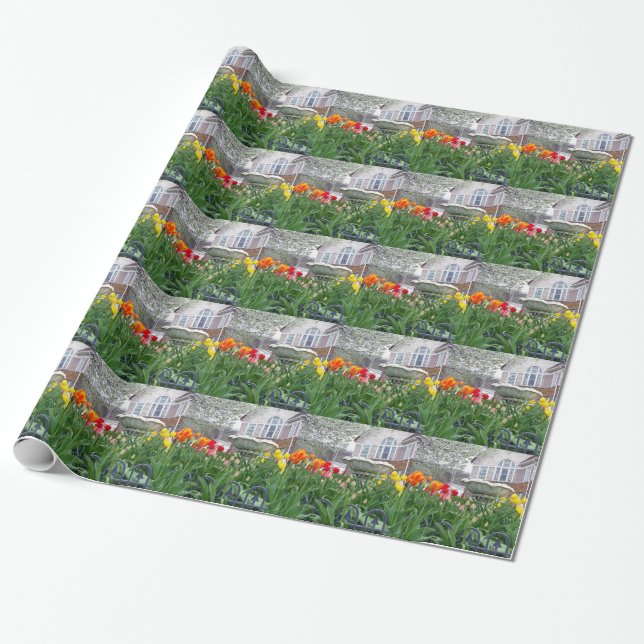Papier Cadeau Tulipes de printemps (Déroulé)