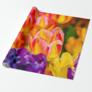 Papier Cadeau Tulipes Enchantant