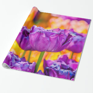 Papier Cadeau Tulipes Enchantant violet
