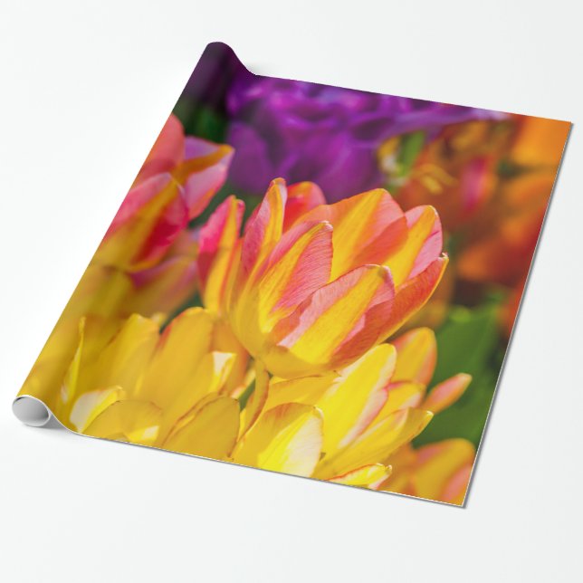 Papier Cadeau Tulipes Enchanter 16 (Déroulé)