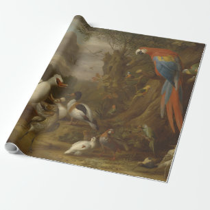 Papier Cadeau Un canard macaw Parrots et autres oiseaux dans un