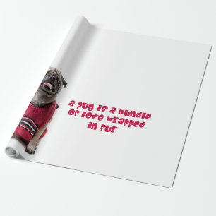 Papier Cadeau Un Carlin Est Un Ensemble D'Amour Enveloppé Dans L