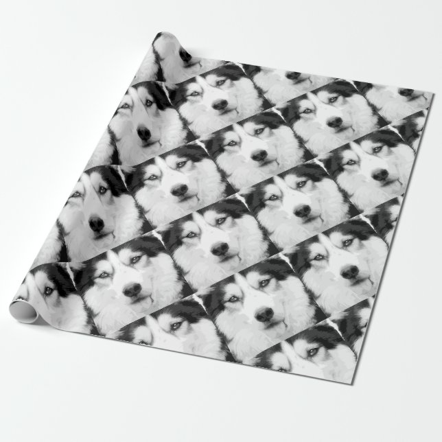 Papier Cadeau Un chien de traîneau sibérien noir et blanc (Déroulé)