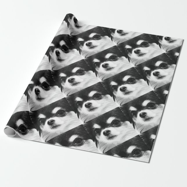 Papier Cadeau Un chiwawa noir et blanc (Déroulé)