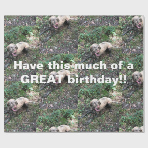 Papier Cadeau Un drôle de rouleau hongrois de papier d'emballage