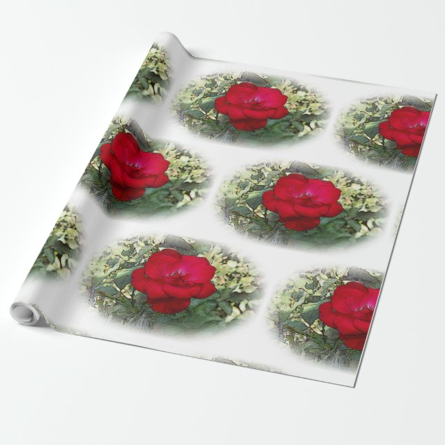 Papier Cadeau Un rose solitaire (Déroulé)
