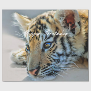 Papier Cadeau Un tigre de bébé mignon