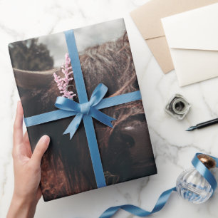Papier Cadeau Vache écossaise de la région montagneuse noire pât