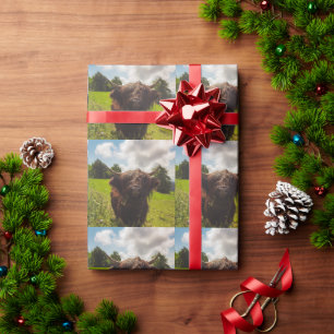 Papier Cadeau Vache noire pâturage vert champ soleil