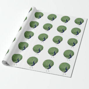 Papier Cadeau Ventilateur Open Peacock