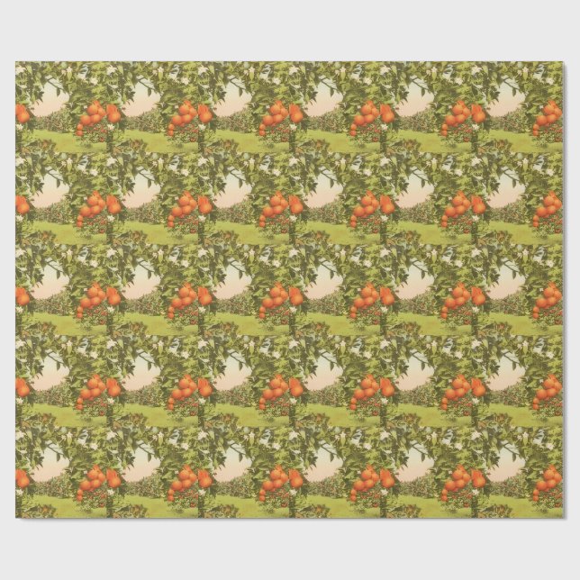 Papier Cadeau Verger d'orangers vintage (Plat)