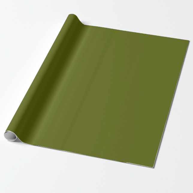 Papier Cadeau Vert mousse (Déroulé)