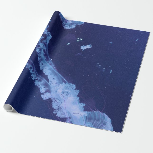 Papier Cadeau Vie maritime (Déroulé)