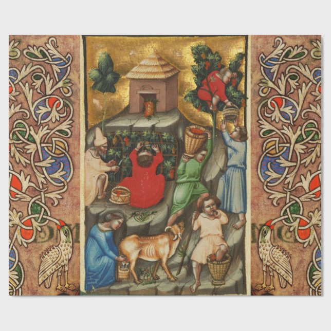 Papier Cadeau VIGNOBLE DE CÉRÉALES MOYENNES HARVEST Grapevine an (Plat)