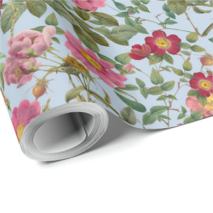 Papier cadeau vintage botanique rose sauvage bleu