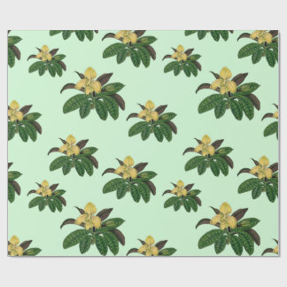 Papier Cadeau vintage rare et beau art orchidée