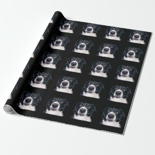 Papier Cadeau Visage de chien noir et blanc