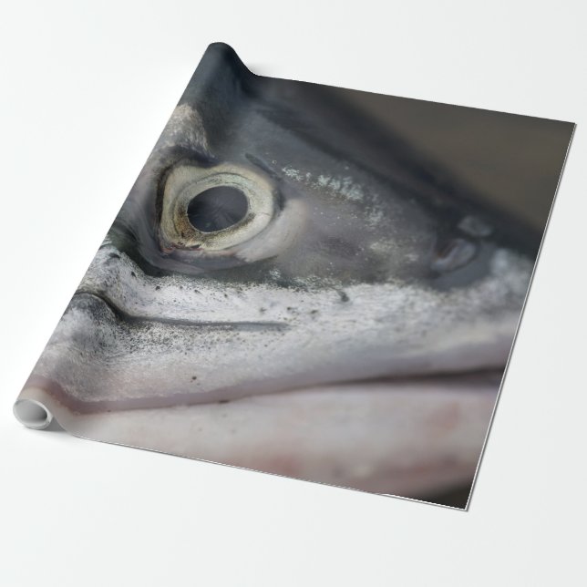 Papier Cadeau Visage Saumon argenté (Déroulé)