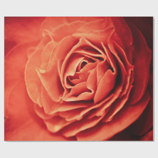 Papier Cadeau vivant rose