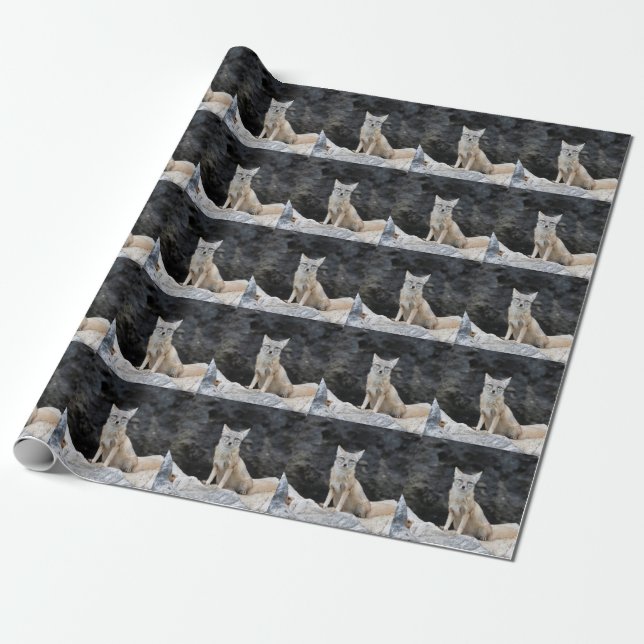 Papier Cadeau Vulpes corsac (Déroulé)