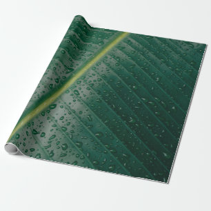 Papier Cadeau Water droplets on banana leaf