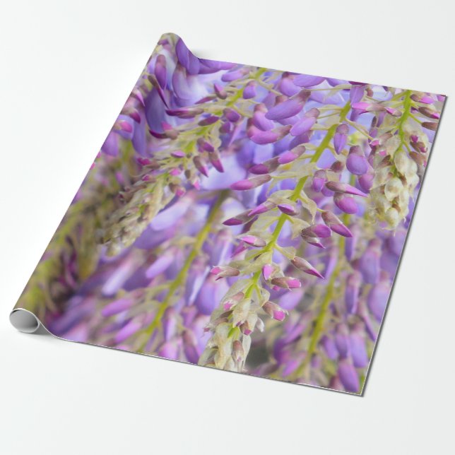 Papier Cadeau Wisteria Purple Floral Blossom Tree Violet Wrappet (Déroulé)