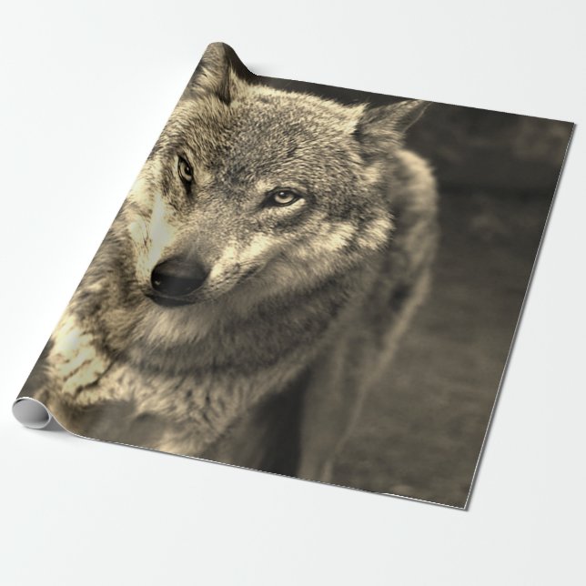 Papier Cadeau Wolf 215 (Déroulé)