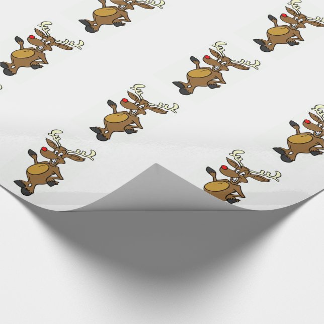 Papier Cadeau Wrap (Coin)