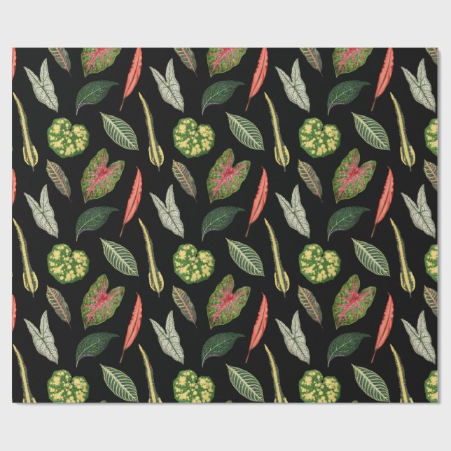 Papier Cadeau Wrapping Paper (Plat)