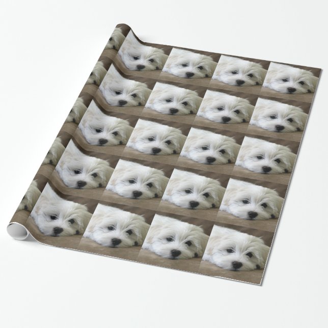 Papier Cadeau Yeux de chiot (Déroulé)