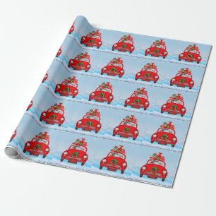 Papier Cadeau Yorkshire Terrier Chien dans une voiture avec le P