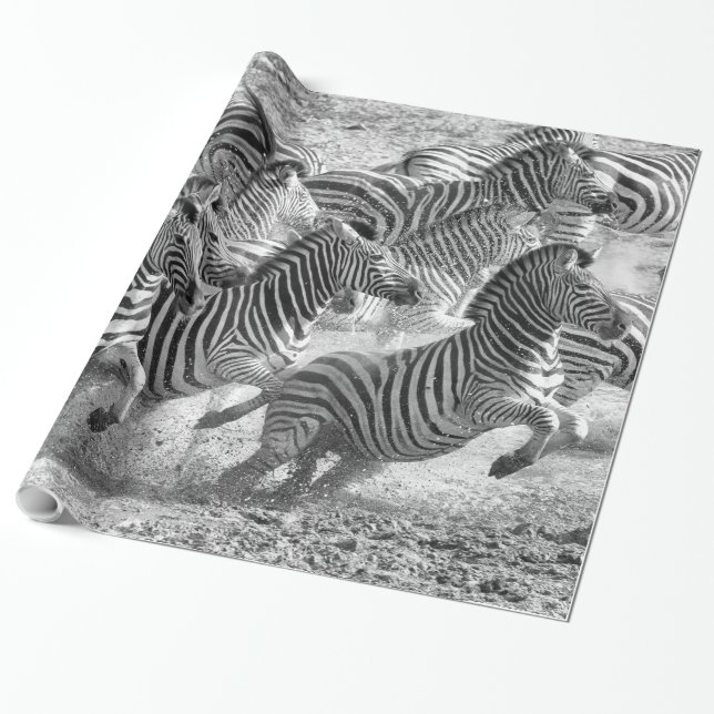 Papier Cadeau Zebras running (Déroulé)