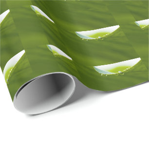 Papier Cadeau Zen Love Green Lotus Leaf Water Drop