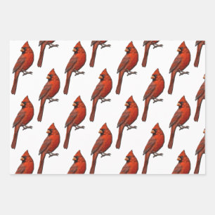 Papier cardinal à enveloppement Jeu plat de 3 feui