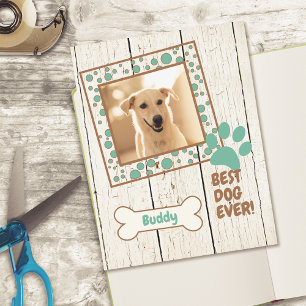 Papier Cardstock photo pour chien de compagnie