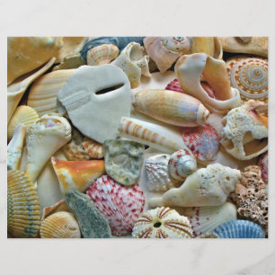 Papier Craft pour Album de Coquillages Colorés
