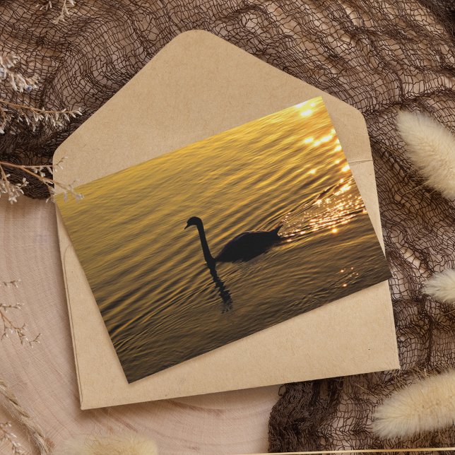 Papier Cygne d'Or  (Créateur téléchargé)