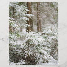 Papier de fond pour scrapbook de Noël sur la natur