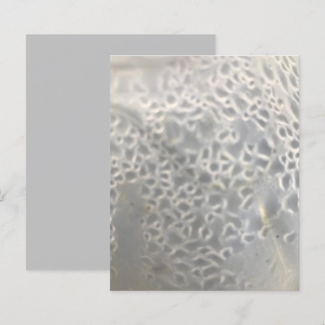 Papier de papier de scrapbook blanc gris clair (Devant / Derrière)