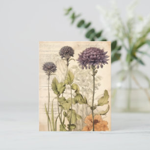 Papier de scrapbook botanique herbacé vintage