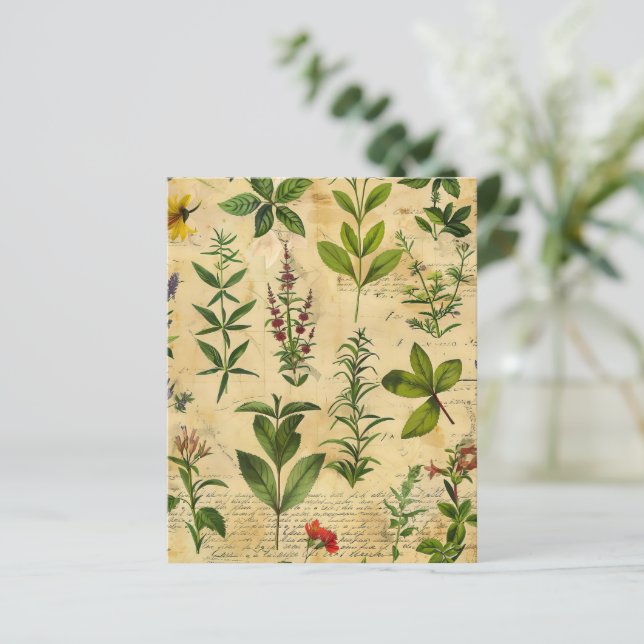 Papier de scrapbook botanique herbal vintage  (Debout devant)