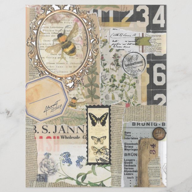 Papier de scrapbook d'éphémère botanique vintage d (Devant)