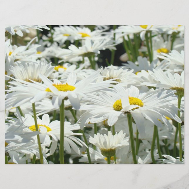 Papier de scrapbooking à thème Fleurs de Marguerit (Devant)