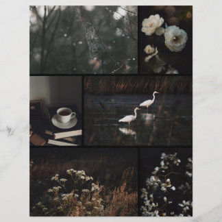 Papier de scrapbooking en collage sombre et lunati