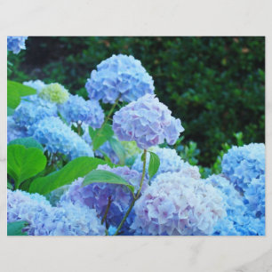 Papier de scrapbooking Fleurs de Hortensia Bleu Ja